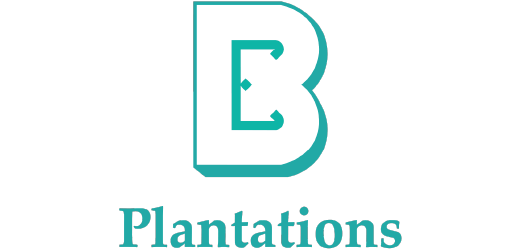 Boustead Plantations Berhad