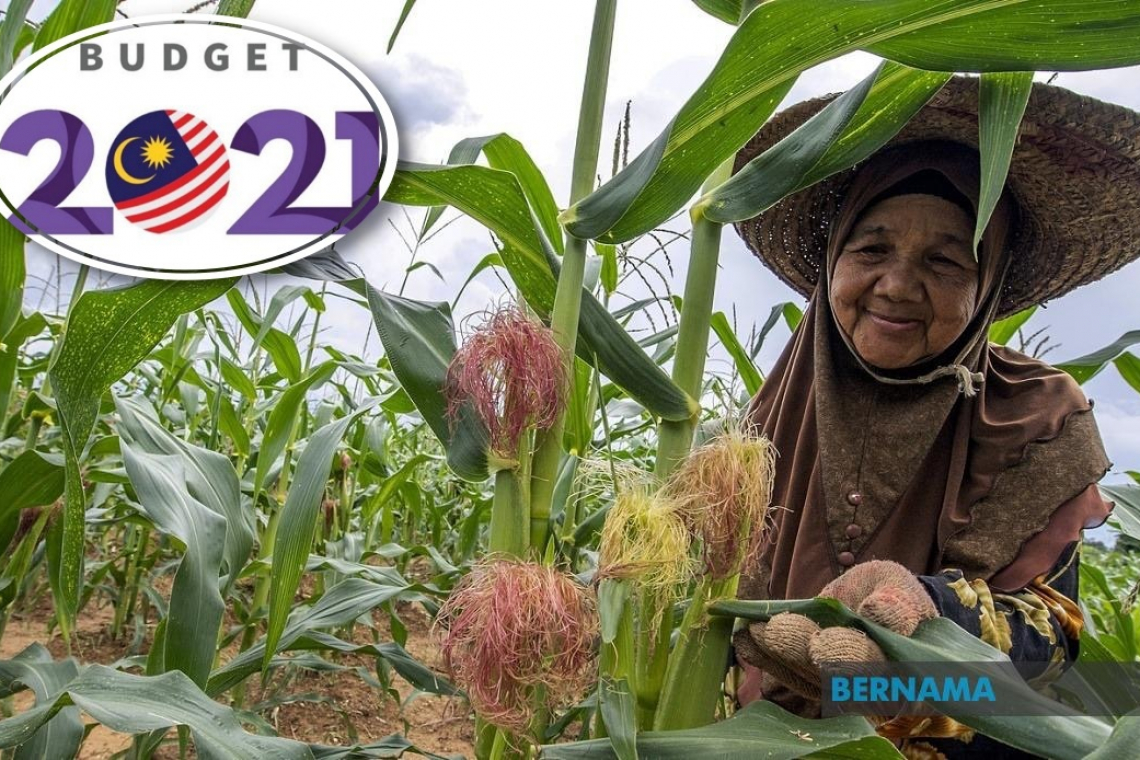 Bernama - Govt To Implement 7 Key Initiatives To Empower Agriculture Sector
