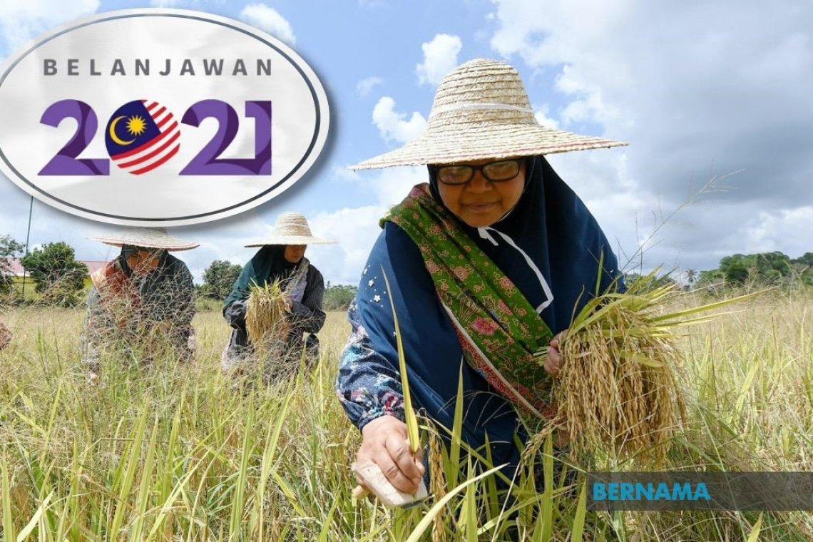 Bernama - Belanjawan 2021: Subsidi RM1.7 Bilion Untuk Bantu Petani Dan Nelayan - Tengku Zafrul