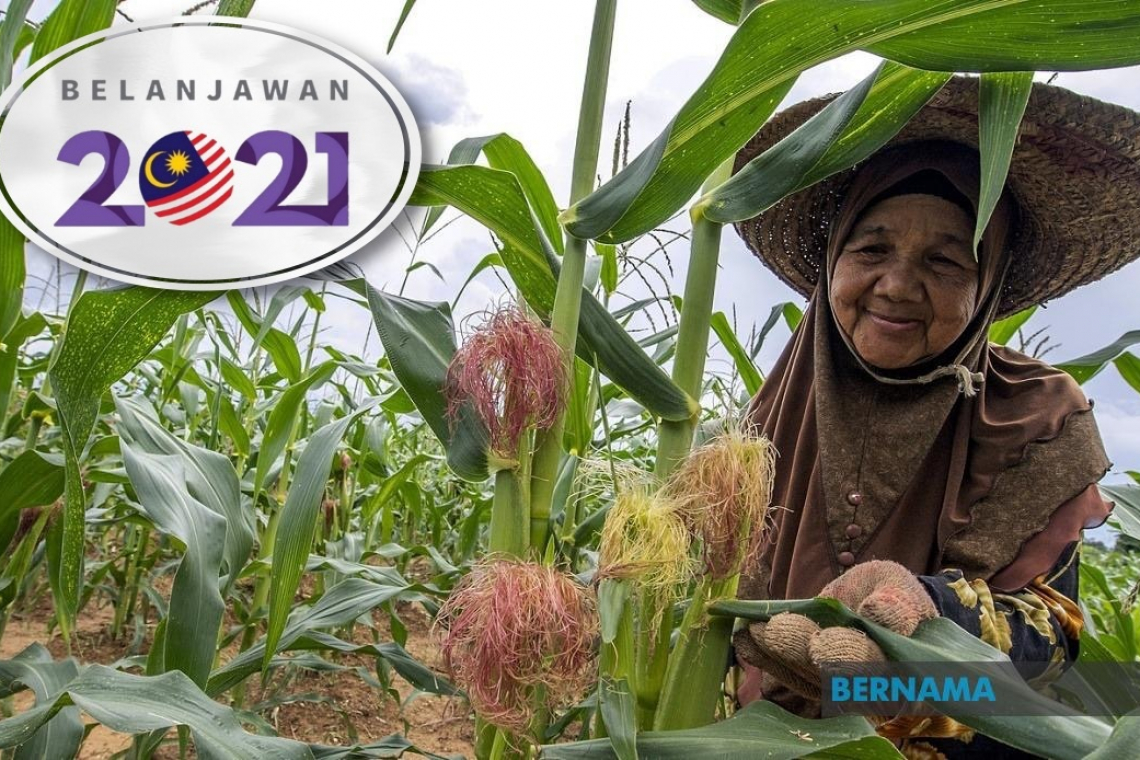 Bernama - Kerajaan Laksana Tujuh Inisiatif Untuk Memperkasakan Sektor Pertanian