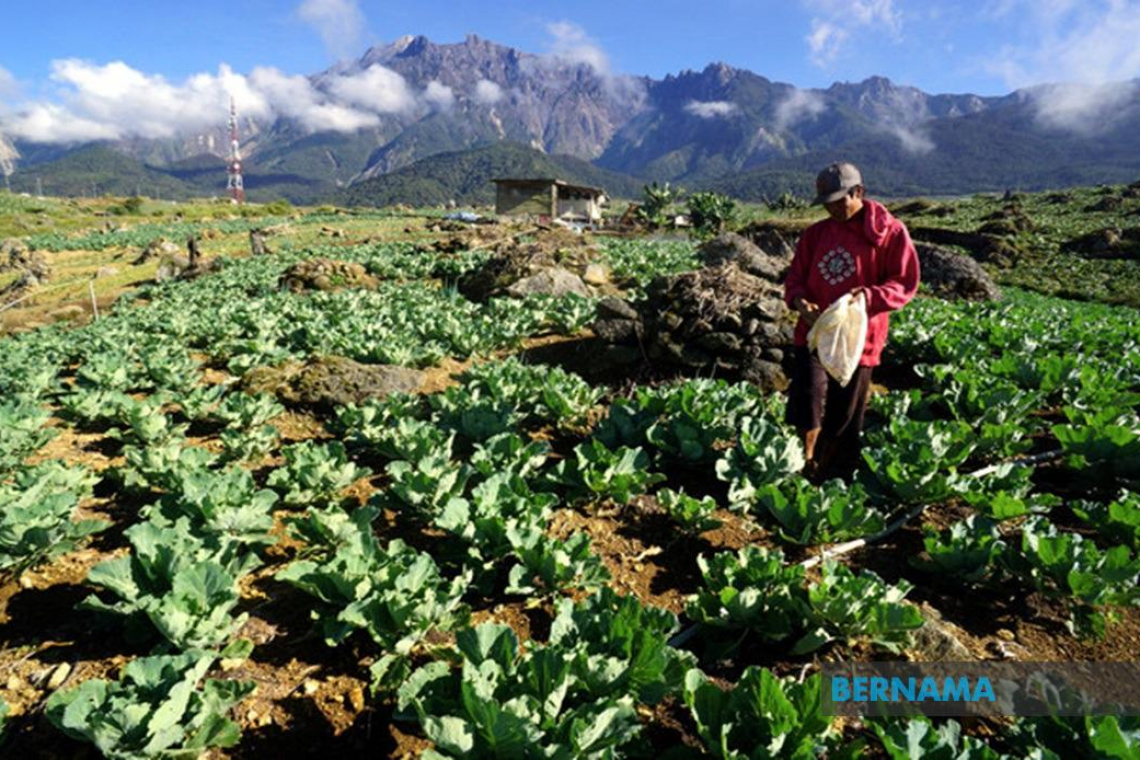 Essential, critical sectors remain major contributor to GDP during MCO 2.0 – Tengku Zafrul
