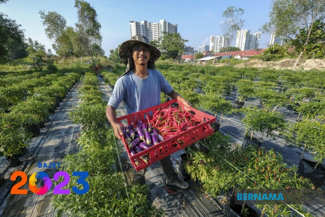Bajet 2023: Kerajaan sasar manfaat tanah terbiar bantu tingkat sekuriti makanan