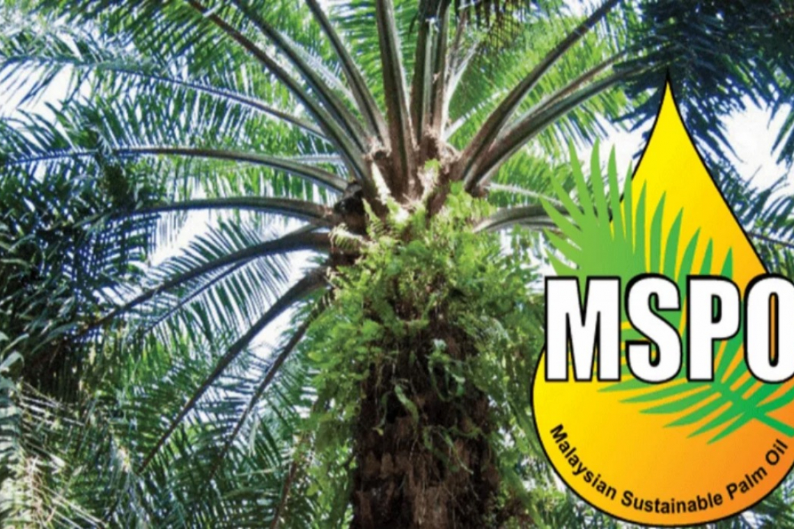 Govt allocates RM70 million to improve palm oil industry’s sustainability -- Tengku Zafrul