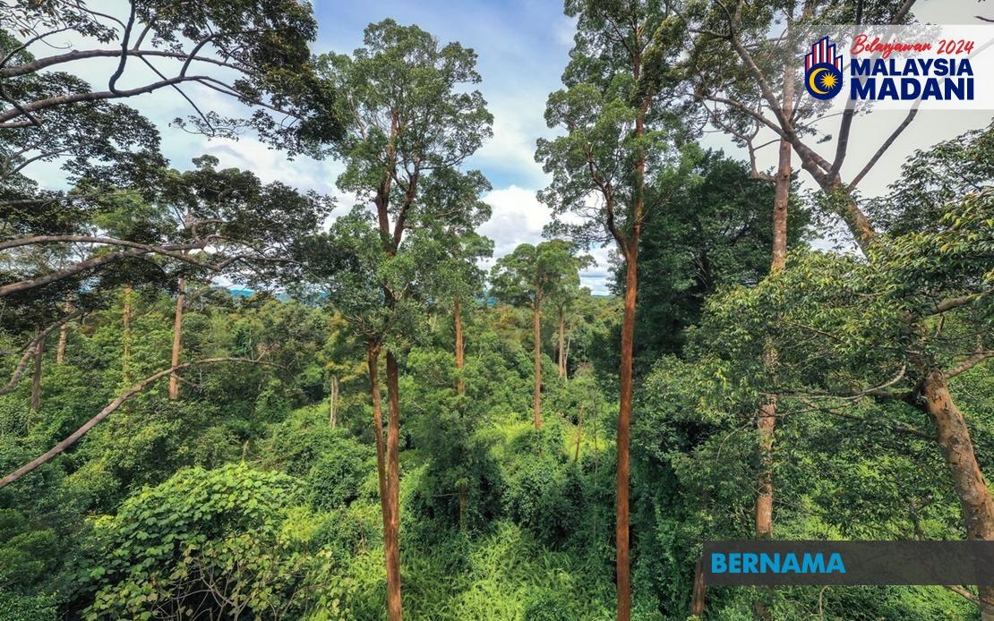 Govt To Pioneer Biodiversity Issuance Of Up To RM1 Bln -- PM Anwar