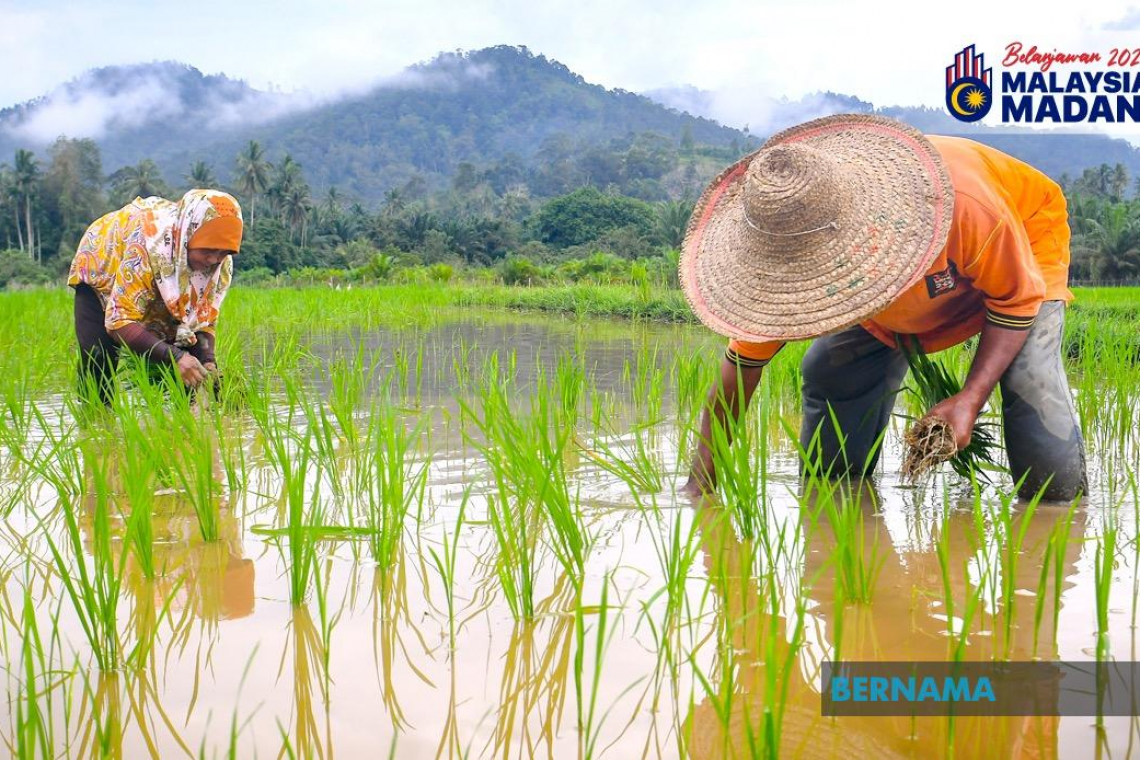 Kerajaan Peruntuk Rm90 Juta Kepada RISDA, FELCRA, Galak Pekebun Kecil Optimumkan Penggunaan Tanah