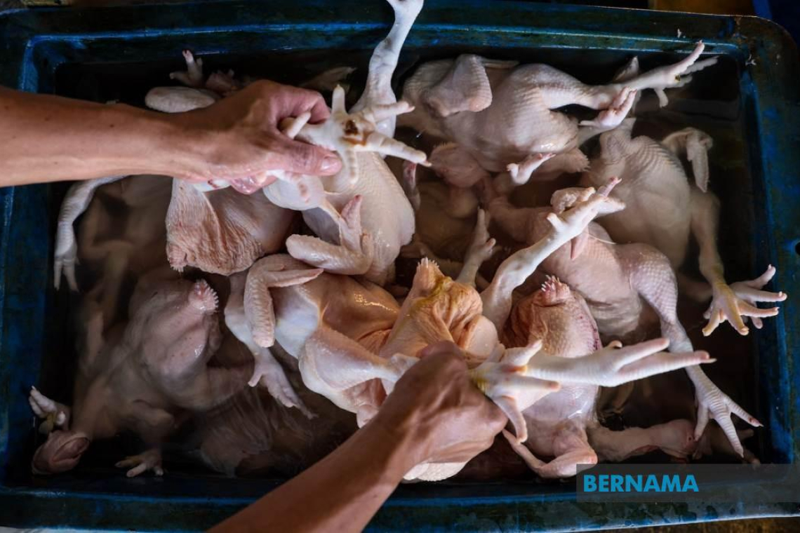 PM Anwar pertahan harga barangan keperluan, jauh lebih rendah berbanding dulu