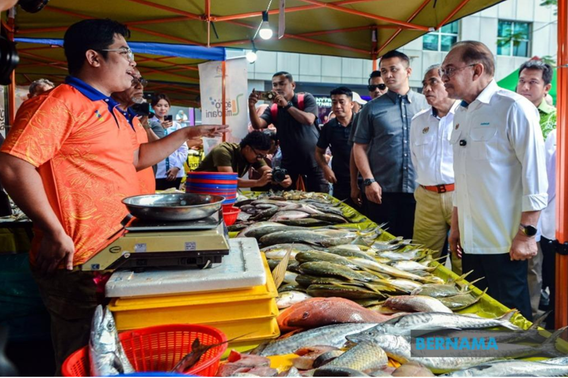 Agensi Berkaitan Perlu Turun Padang Perjelas Pembiayaan Kerajaan Kepada PKS - PM Anwar