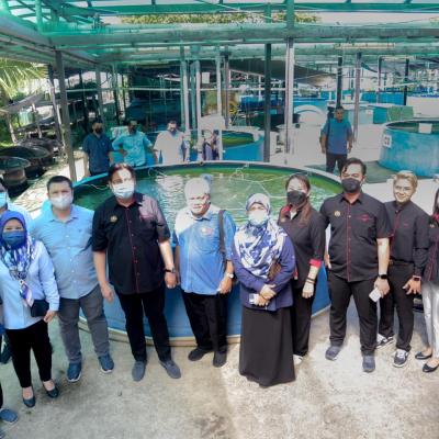 Sesi Lawatan sempena #JelajahBajet2023 ke Akuarium Marin & Hatcheri Ikan, Institusi Penyelidikan Marin Borneo Sabah, UMS