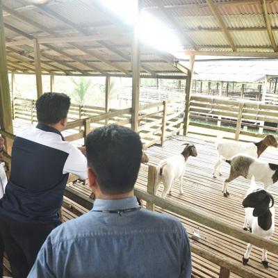 Sesi Turun Padang sempena Jelajah #Bajet2023 ke Ladang Penternakan KLAS Farm Sdn. Bhd. di Melaka