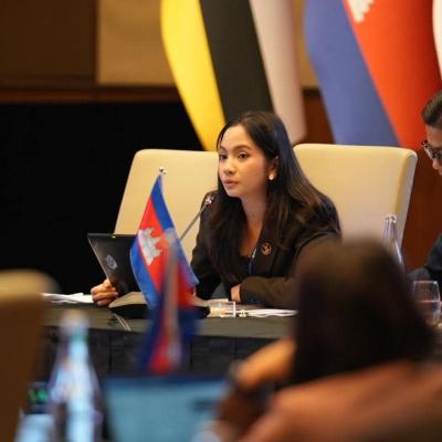 The ASEAN Working Committee On Capital Market Development