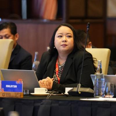 The ASEAN Working Committee On Financial Services Liberalisation & Simplified ESG Disclosure Guide