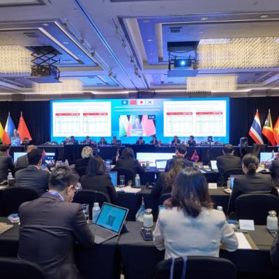 ASEAN+3 Finance and Central Bank Deputies’ Meeting (AFCDM+3)