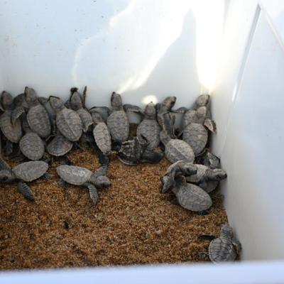 Sesi Lawatan Kerja di Melaka