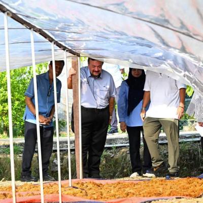 Sesi Turun Padang Ke Kilang Pemprosesan Rumpai Laut Di Semporna, Sabah