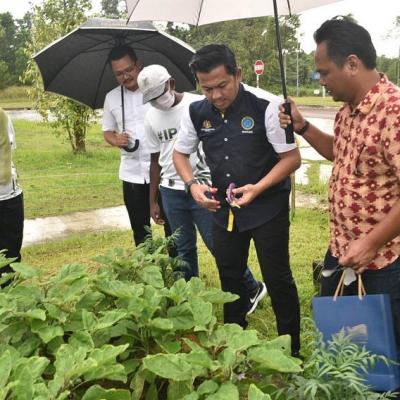 Sesi Turun Padang #JelajahBajet2023 ke Medini Edible Park, Johor