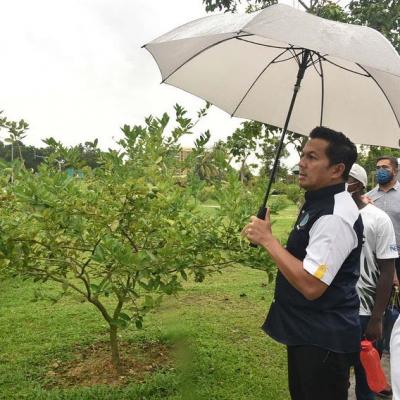 Sesi Turun Padang #JelajahBajet2023 ke Medini Edible Park, Johor